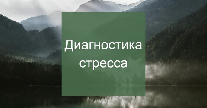 [Елена Суханова] Диагностика стресса (2025)_0.png